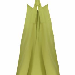 Elements Maxi Dress Lime